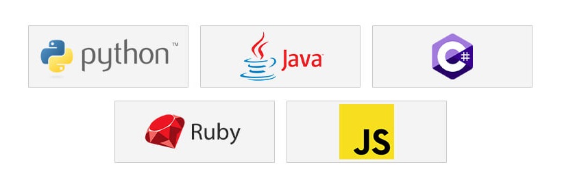 best programming languages for automation testing