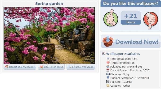 Aesthetic Wallpapers for Desktop: 6 Best Sites to Download Them Right Now image 1