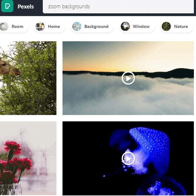 How To Make a Custom Zoom Background image 9