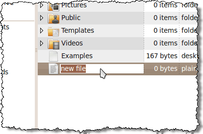 New file ready to be renamed