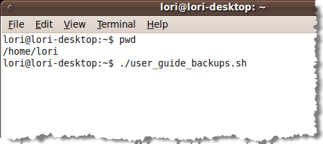 Running the shell script