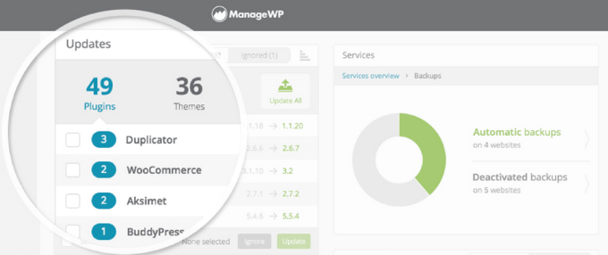 The Best Plugins to Keep WordPress Up to Date Automatically image 4