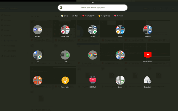 How To Install & Run Linux Apps On a Chromebook image 5