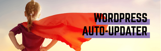 The Best Plugins to Keep WordPress Up to Date Automatically image 6