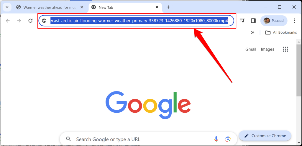 Video download link in Google Chrome's address bar
