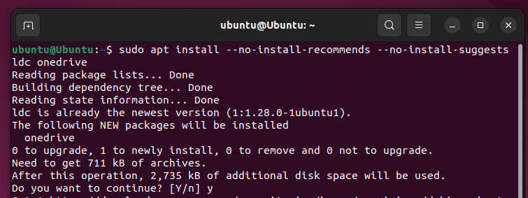 How to Access and Use OneDrive on Linux image 3