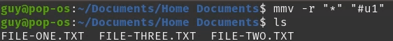 How to Rename Files and Folders in Linux image 23