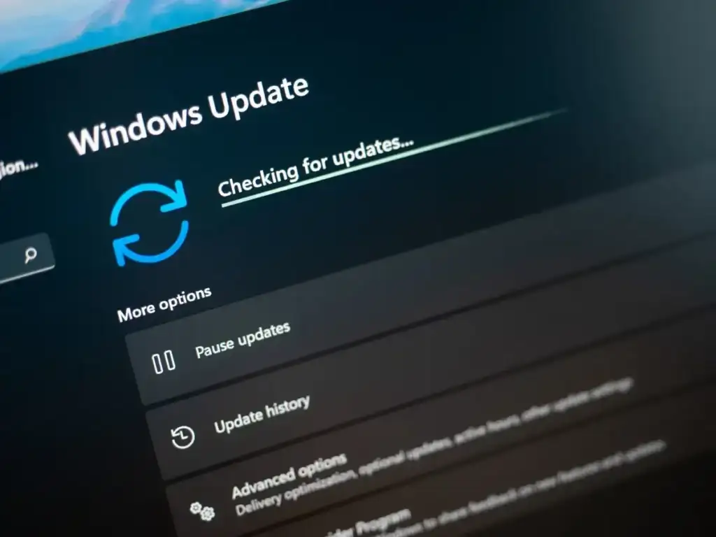 How to Fix a Windows Update Error 0xc1900223 image 1